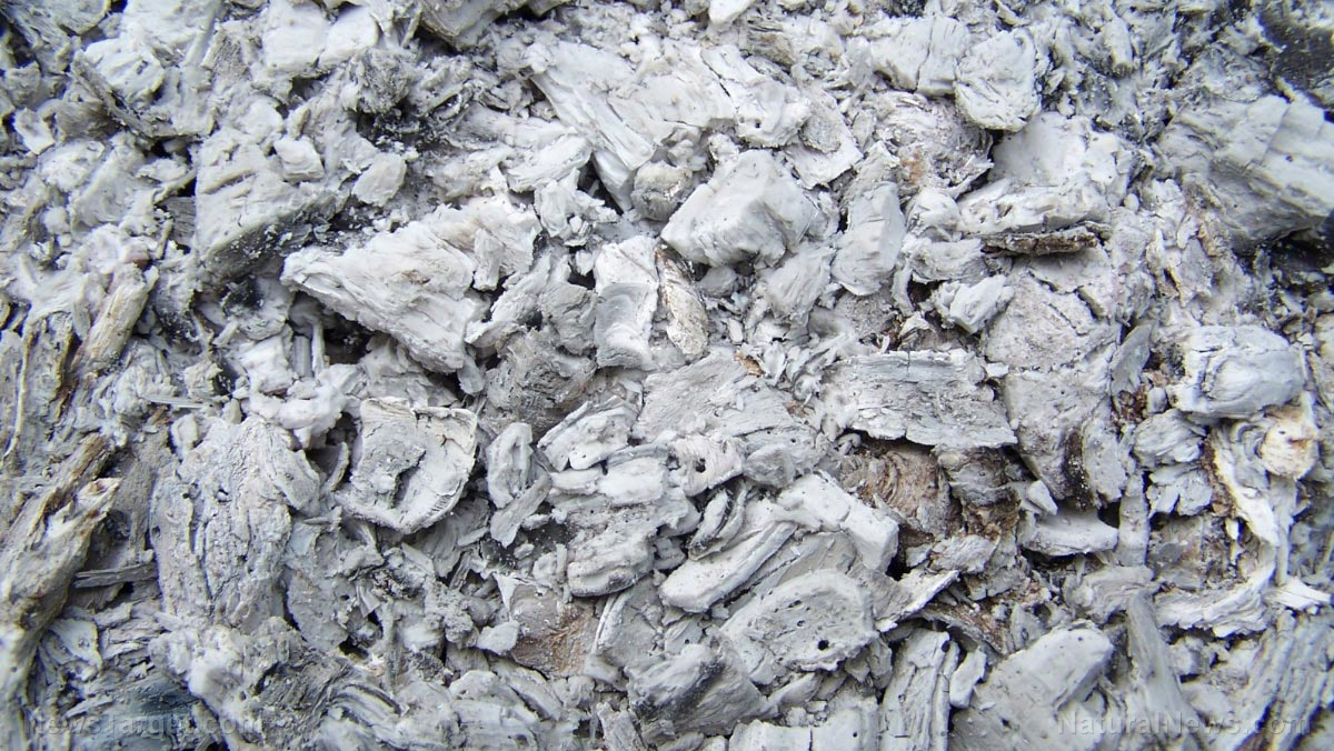 Natural Soil Amendments Wood Ash And Crushed Rock Effectively